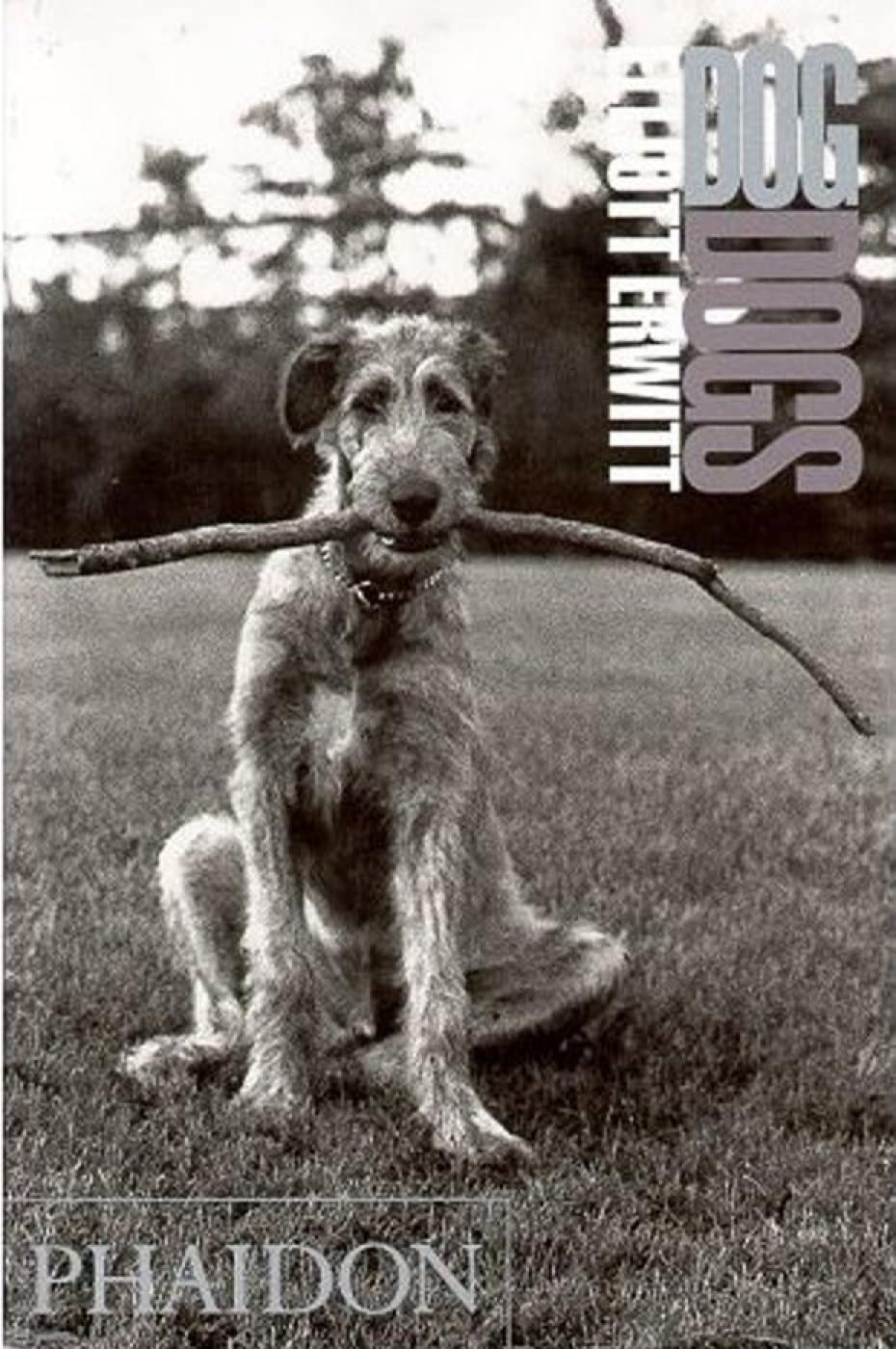Dog Dogs