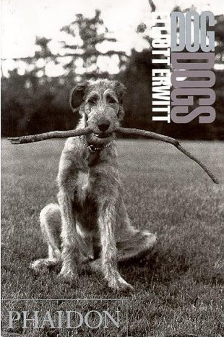 Dog Dogs