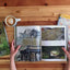Gardens of the High Line: Elevating the Nature of Modern Landscapes