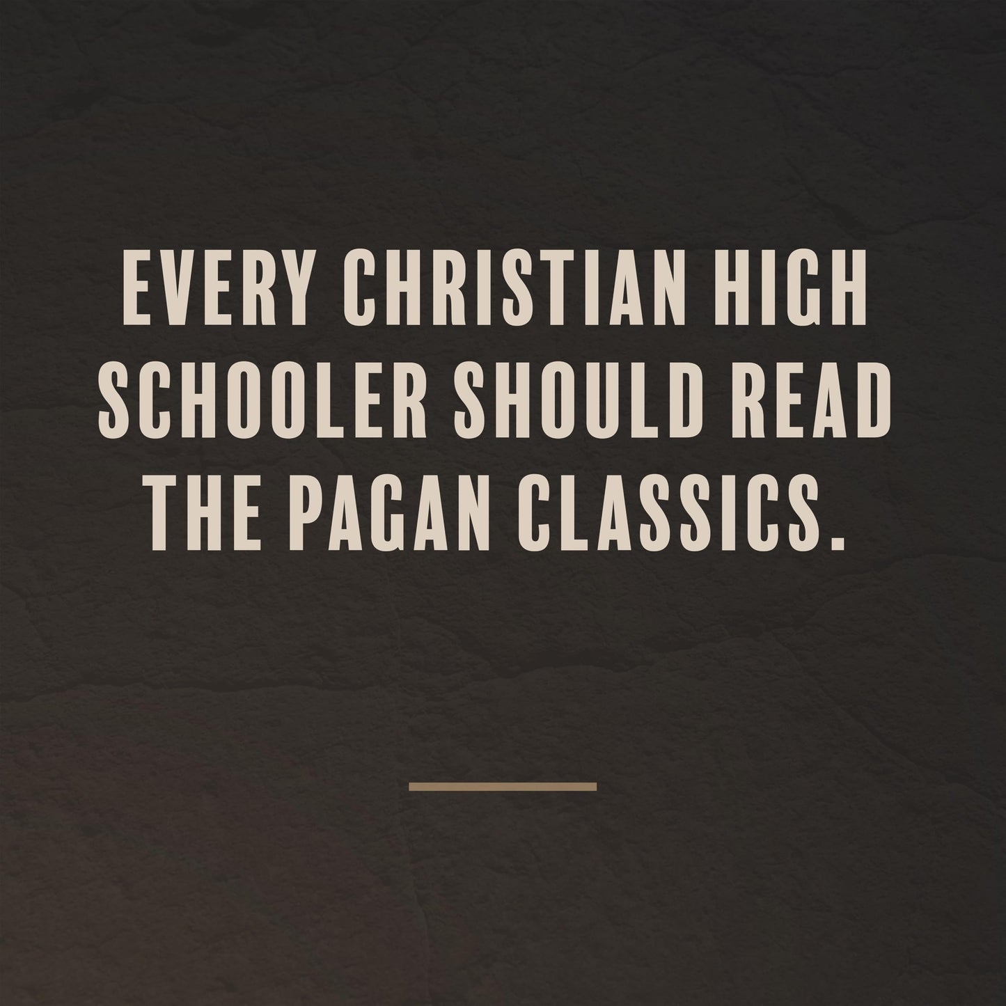 Heroes of the City of Man: A Christian Guide to Select Ancient Literature, Christian History Literature Book on Reading Pagan Classics, Biblical Books