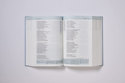 NVI, Biblia de Estudio Teología Bíblica, Interior a cuatro colores, Tapa dura: Sigue el plan redentor de Dios como se desenlaza en las Escrituras (Spanish Edition)