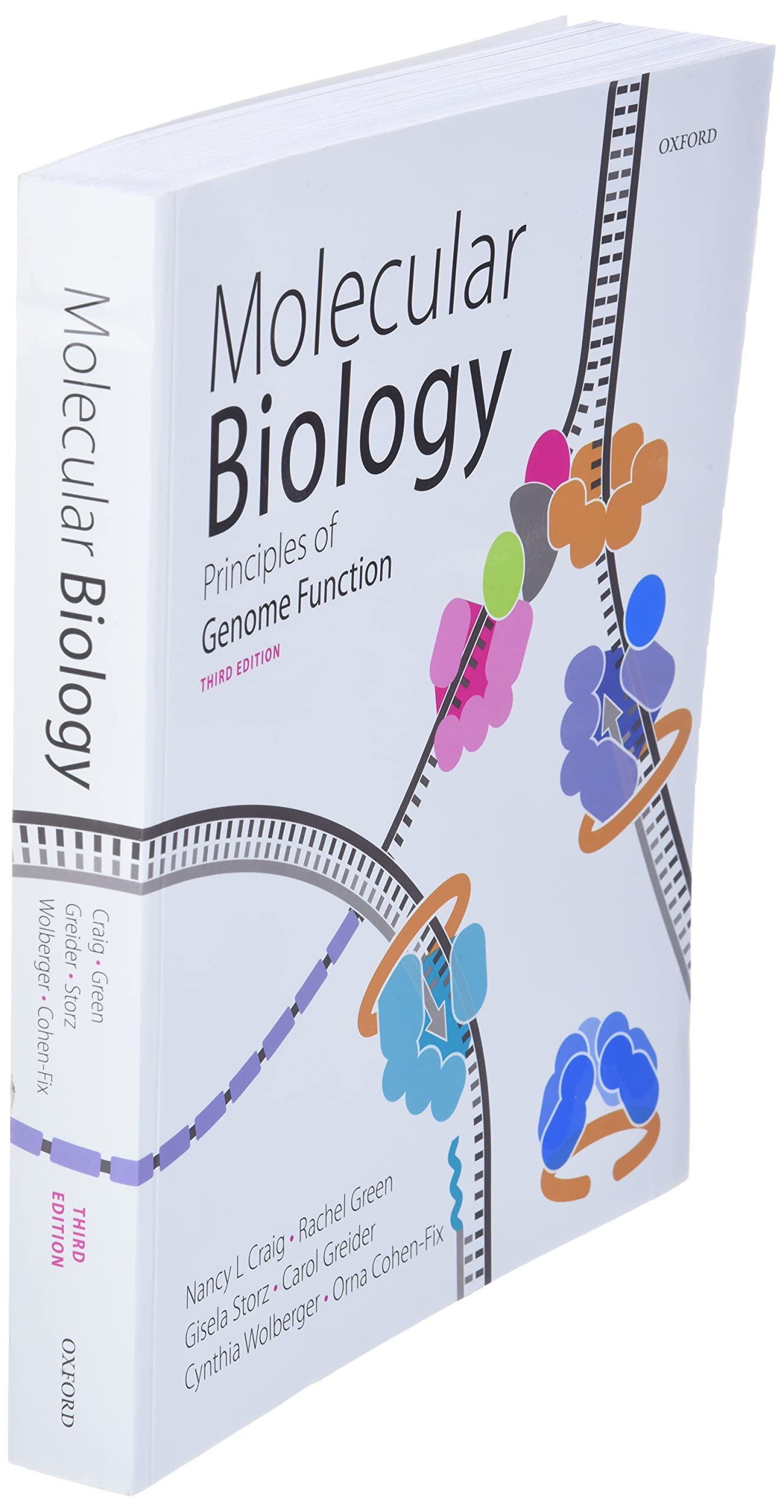 Molecular Biology: Principles of Genome Function