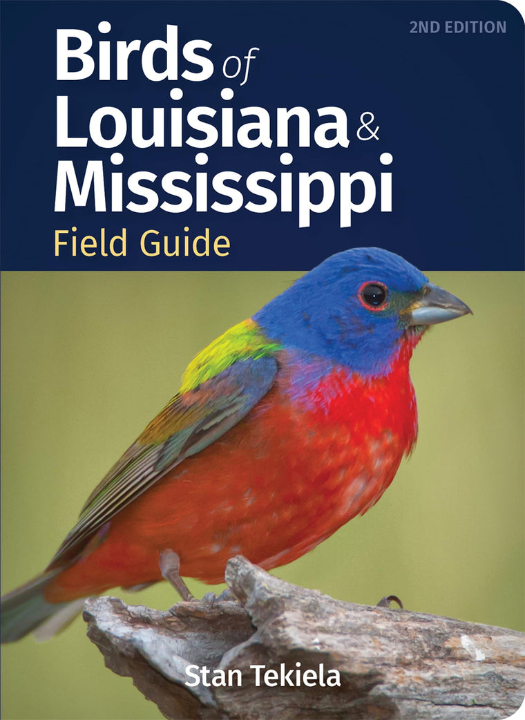 Birds of Louisiana & Mississippi Field Guide (Bird Identification Guides)
