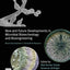 New and Future Developments in Microbial Biotechnology and Bioengineering: Recent Developments in Trichoderma Research