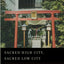 Sacred High City, Sacred Low City: A Tale of Religious Sites in Two Tokyo Neighborhoods