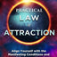 Practical Law of Attraction: Align Yourself with the Manifesting Conditions and Successfully Attract Your Desires