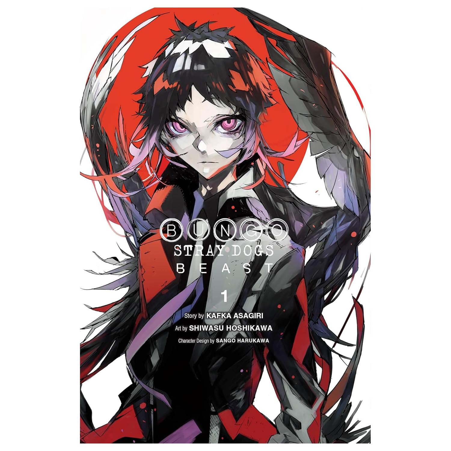 Bungo Stray Dogs: Beast Vol. 1-4 by Kafka Asagiri