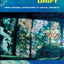 Continental Drift: From National Characters to Virtual Subjects
