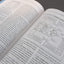 The MacArthur Bible Commentary: A Faithful, Focused Commentary on the Whole Bible