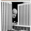 Edward Durell Stone: Modernism's Populist Architect