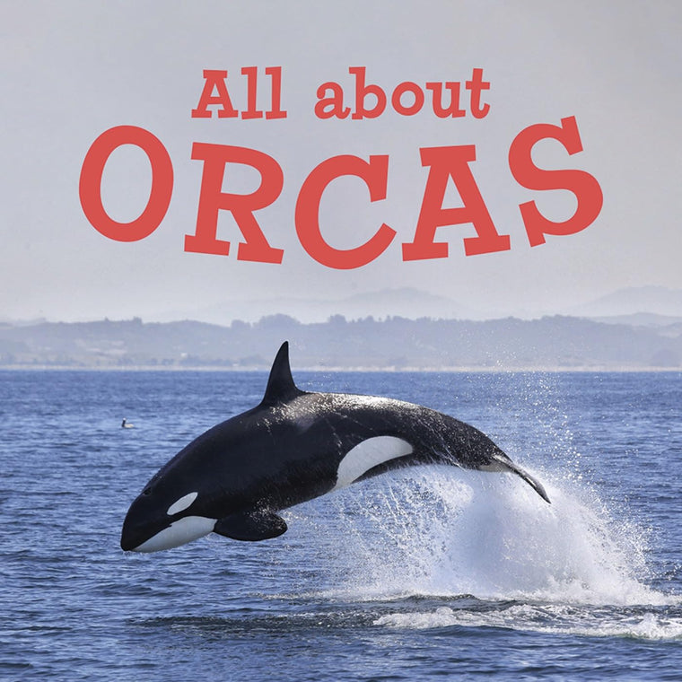 All about Orcas: English Edition (Nunavummi Reading Series)
