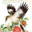 Peterson Field Guide to Birds of Eastern and Central North America, 6th Edition (Peterson Field Guides)