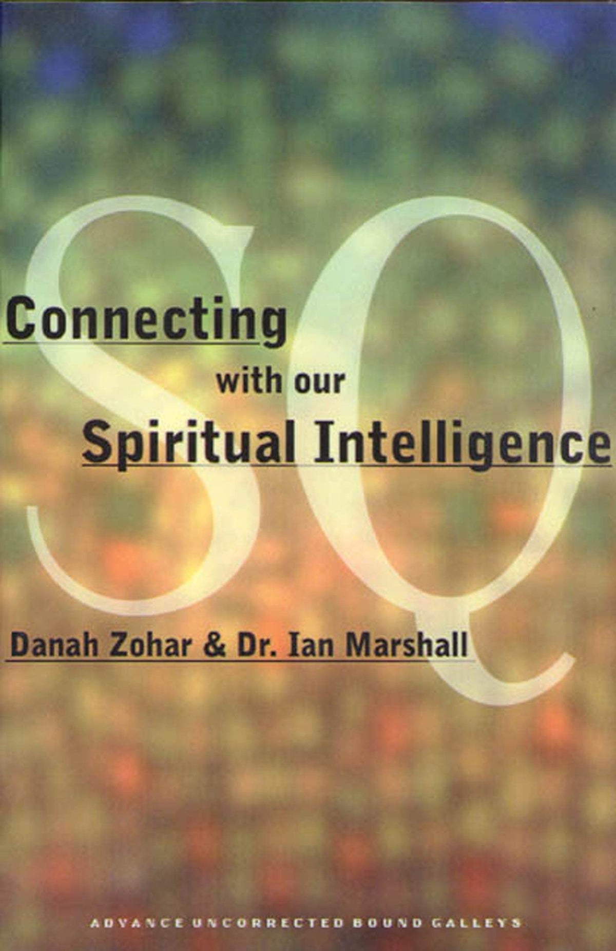 SQ: Connecting With Our Spiritual Intelligence