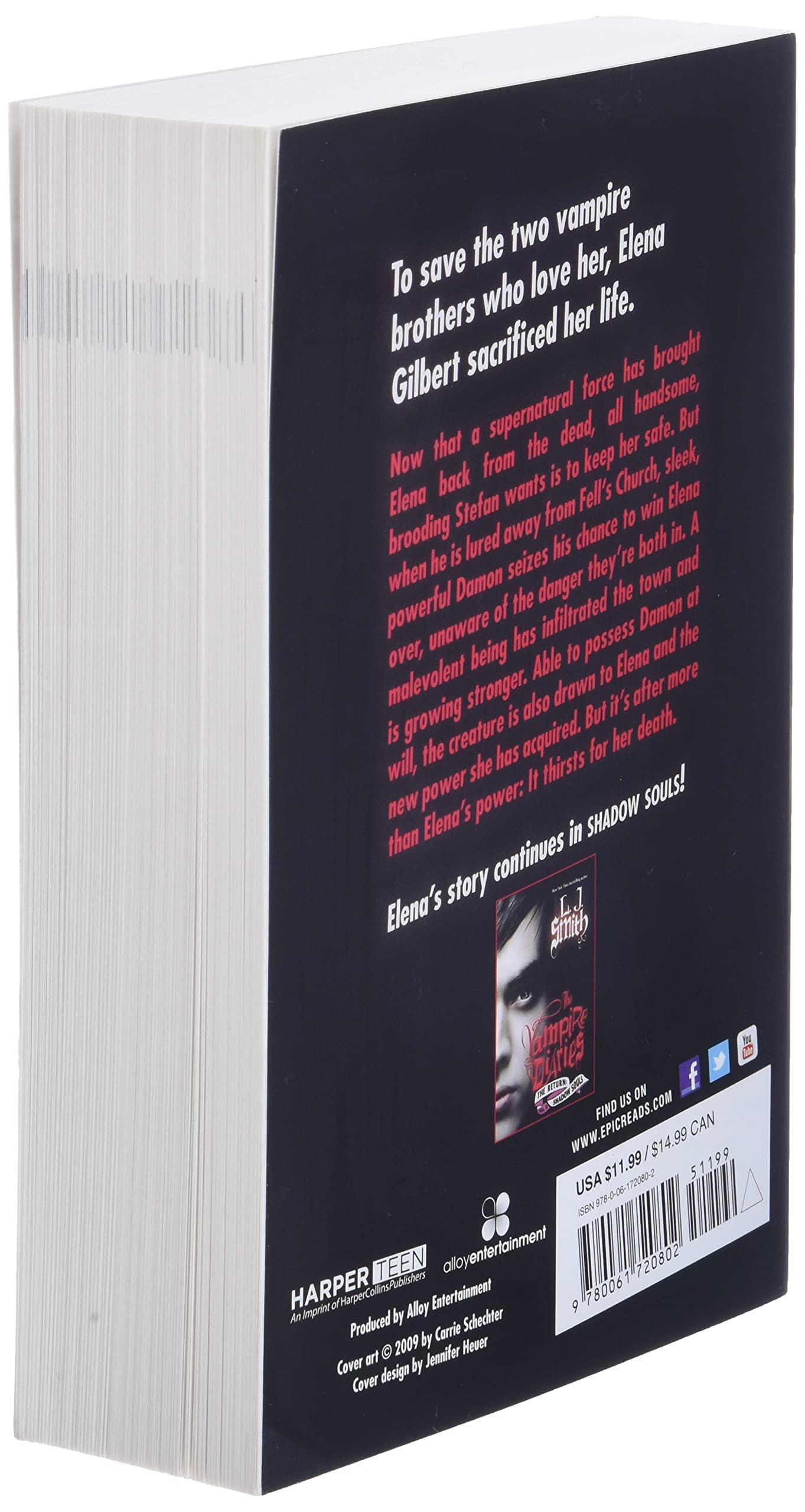 Nightfall (The Vampire Diaries, The Return, Vol. 1)