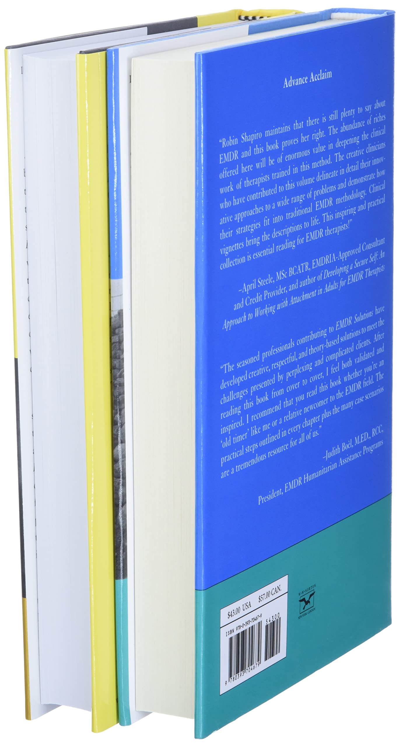 EMDR Solutions I and II COMPLETE SET