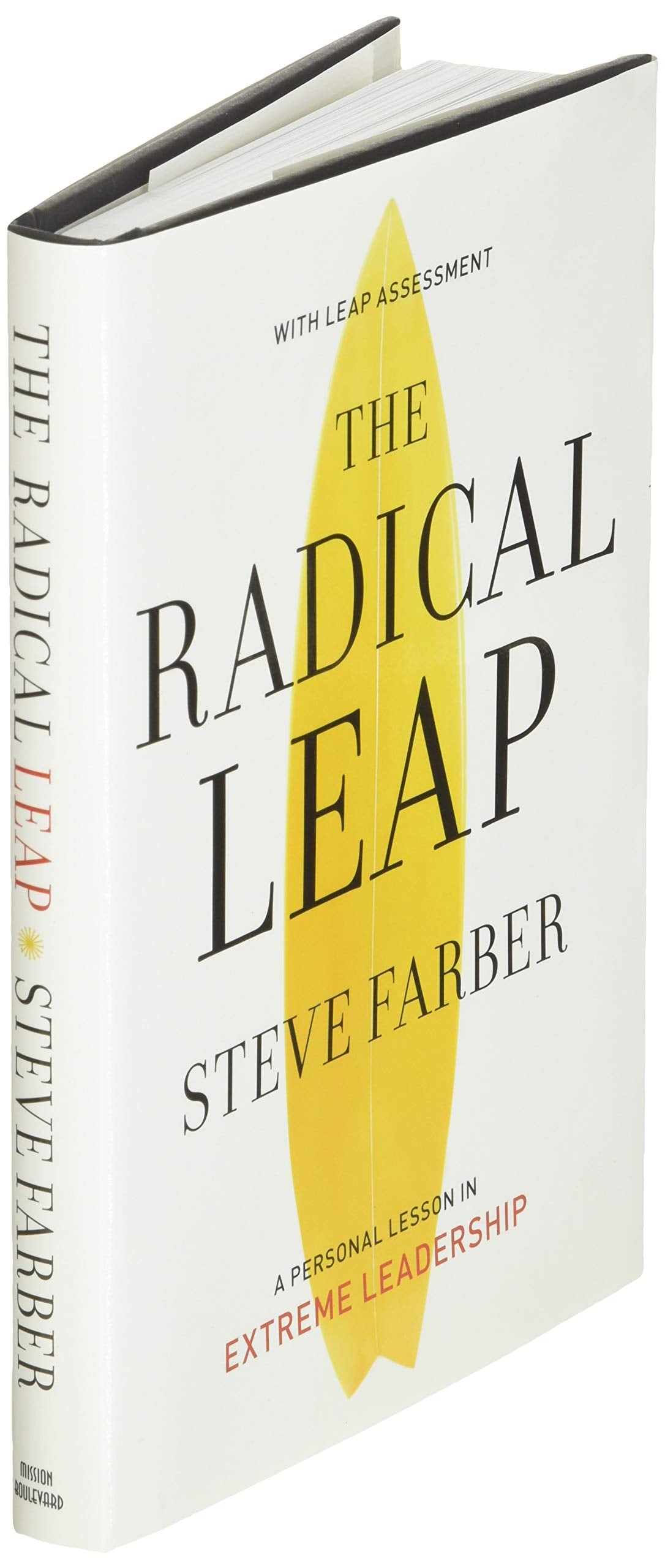 The Radical Leap: Cultivate Love, Generate Energy, Inspire Audacity, Provide Proof (Extreme Leadership series, Book 1)
