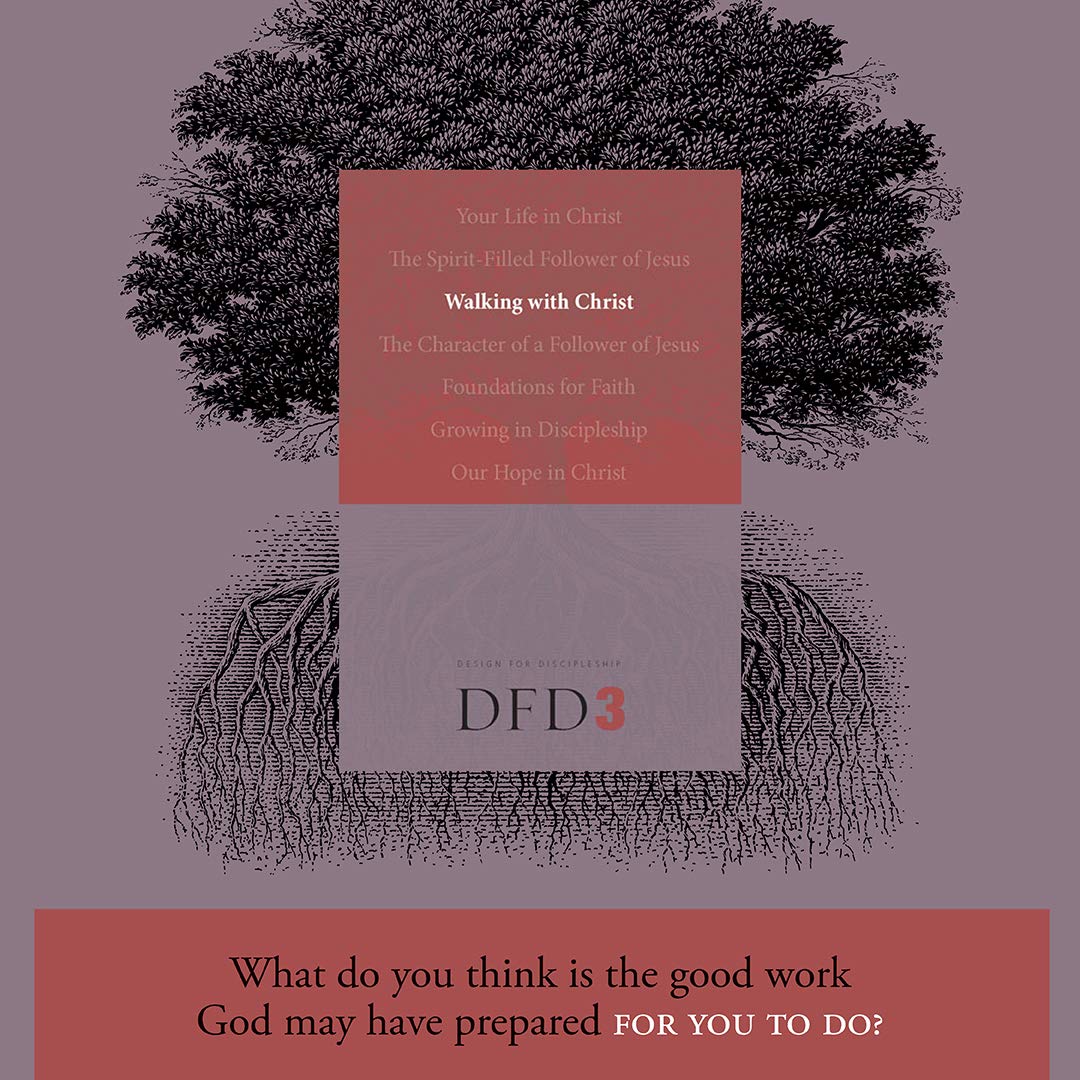 Walking with Christ (Design for Discipleship)