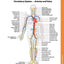 ICD-10-CM Expert 2020 for Providers & Facilities (ICD-10-CM Complete Code Set)