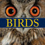 Firefly Encyclopedia of Birds
