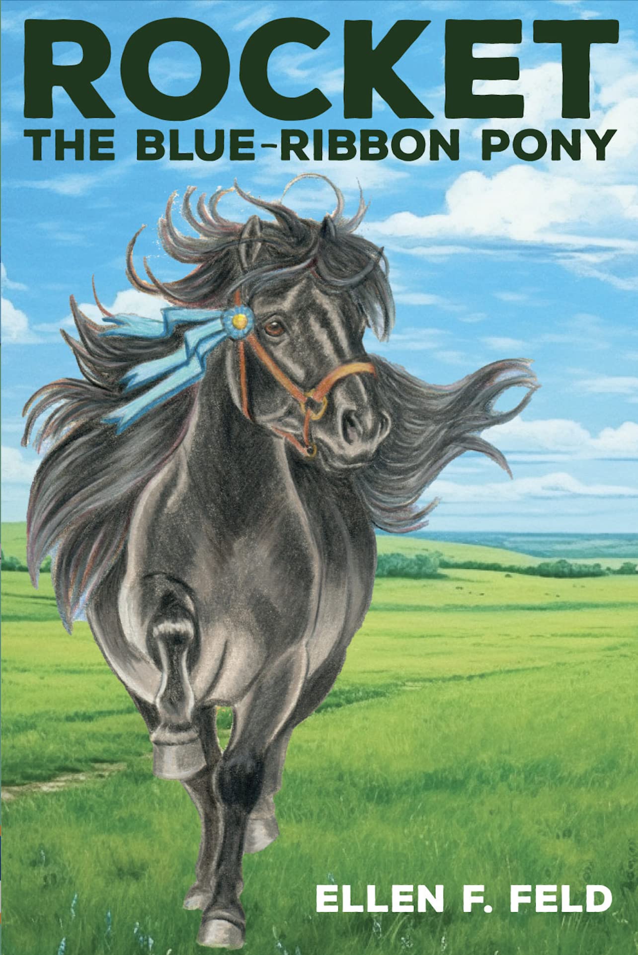 Rocket: The Blue-Ribbon Pony (The Miniature Morgan Series, Book Two)