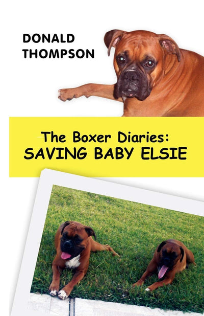 The Boxer Diaries: Saving Baby Elsie: Saving Baby Elsie