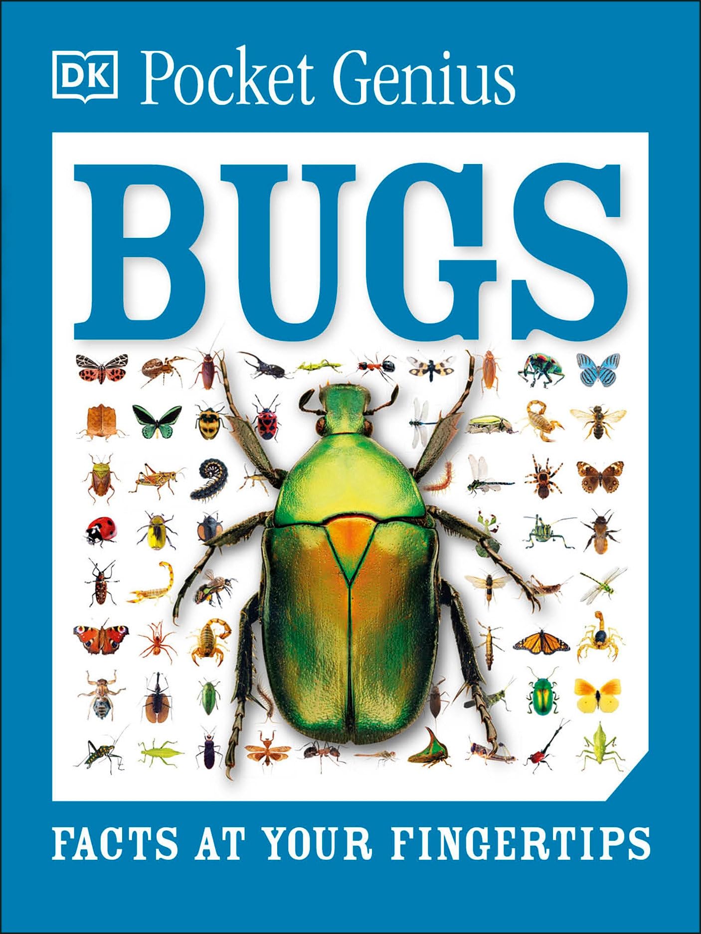 Pocket Genius Bugs: Facts at Your Fingertips