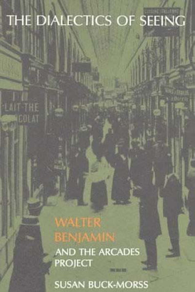 The Dialectics of Seeing: Walter Benjamin and the Arcades Pr