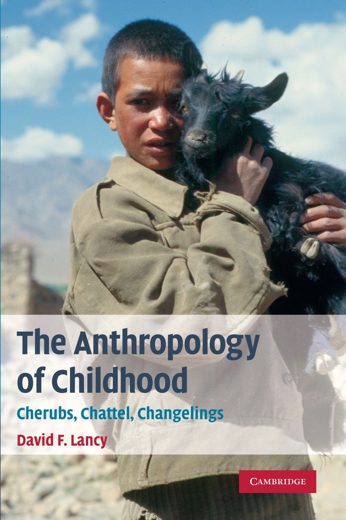The Anthropology of Childhood: Cherubs, Chattel, Changelings