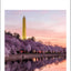 DK Top 10 Washington, DC: Top 10 lists for your perfect trip, plus an all-weather folded map (Pocket Travel Guide)