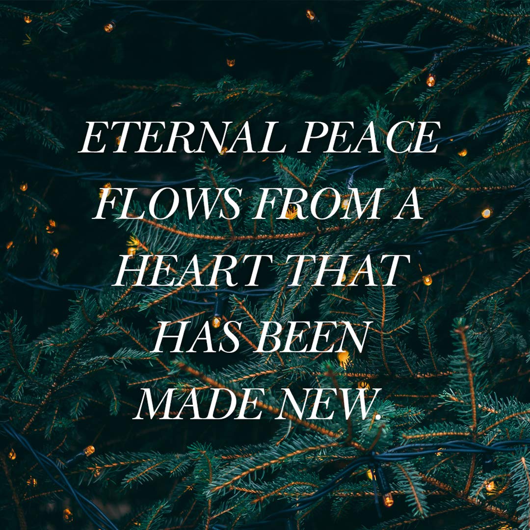 Advent - Bible Study Book: The Weary World Rejoices
