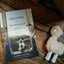 Prayers for Prodigals: 90 Days of Prayer for Your Child
