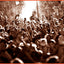The Local Scenes and Global Culture of Psytrance (Routledge Studies in Ethnomusicology)