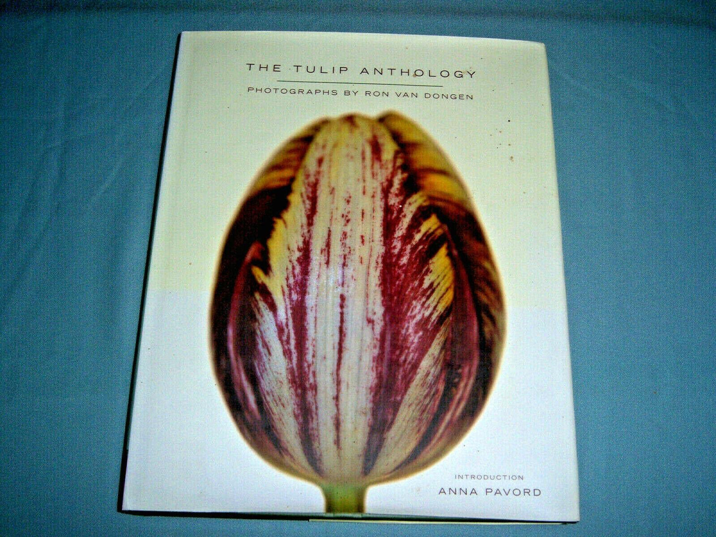 The Tulip Anthology