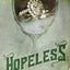 Hopeless: A Chestnut Springs Special Edition