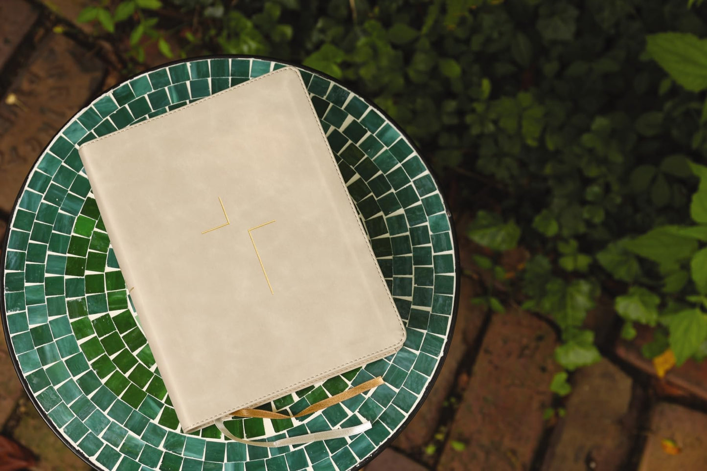 The Jesus Bible, NIV Edition, Leathersoft, Stone, Comfort Print