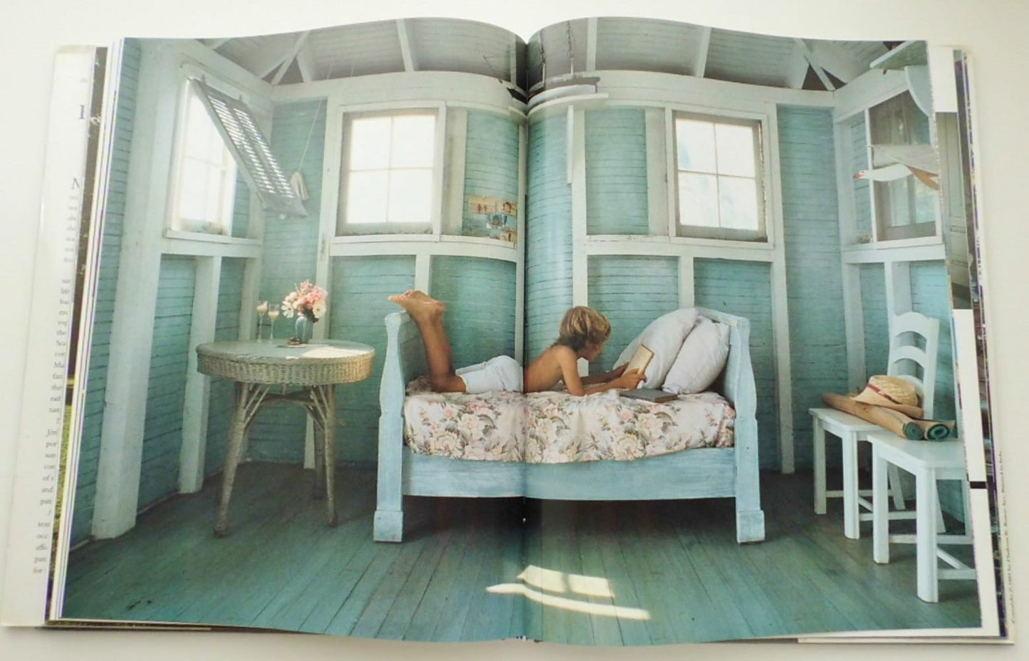 Family Houses by the Sea by Alexandra D'Arnoux