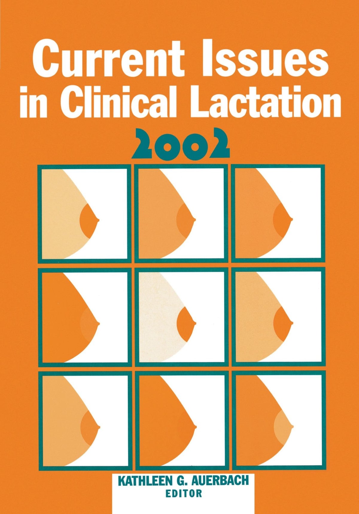 Current Issues in Clinical Lactation 2002