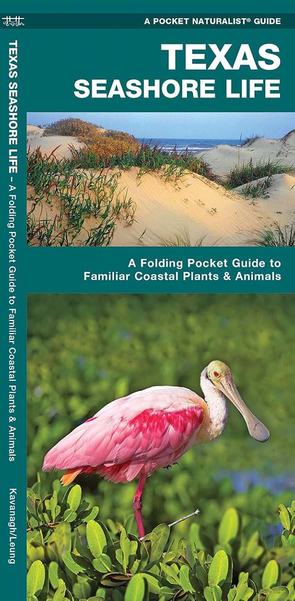 Texas Seashore Life: A Folding Pocket Guide to Familiar Coastal Plants & Animals (A Pocket Naturalist Guide)