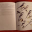 Shrikes: A Guide to the Shrikes of the World