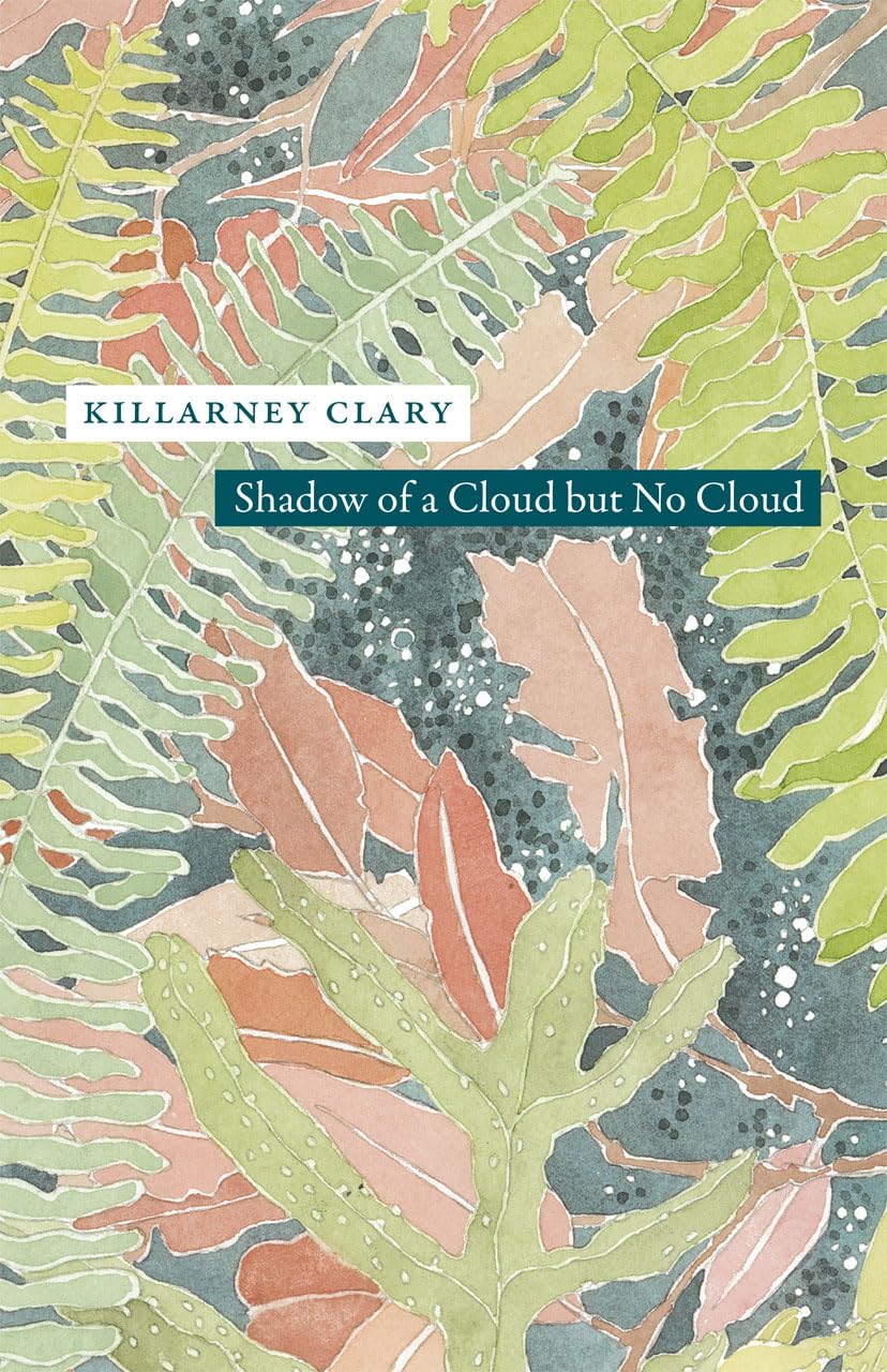 Shadow of a Cloud but No Cloud (Phoenix Poets)