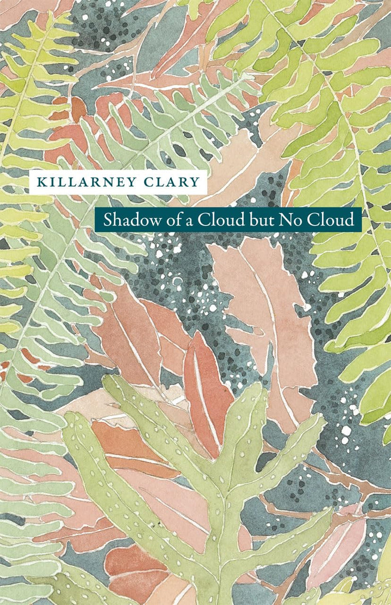 Shadow of a Cloud but No Cloud (Phoenix Poets)