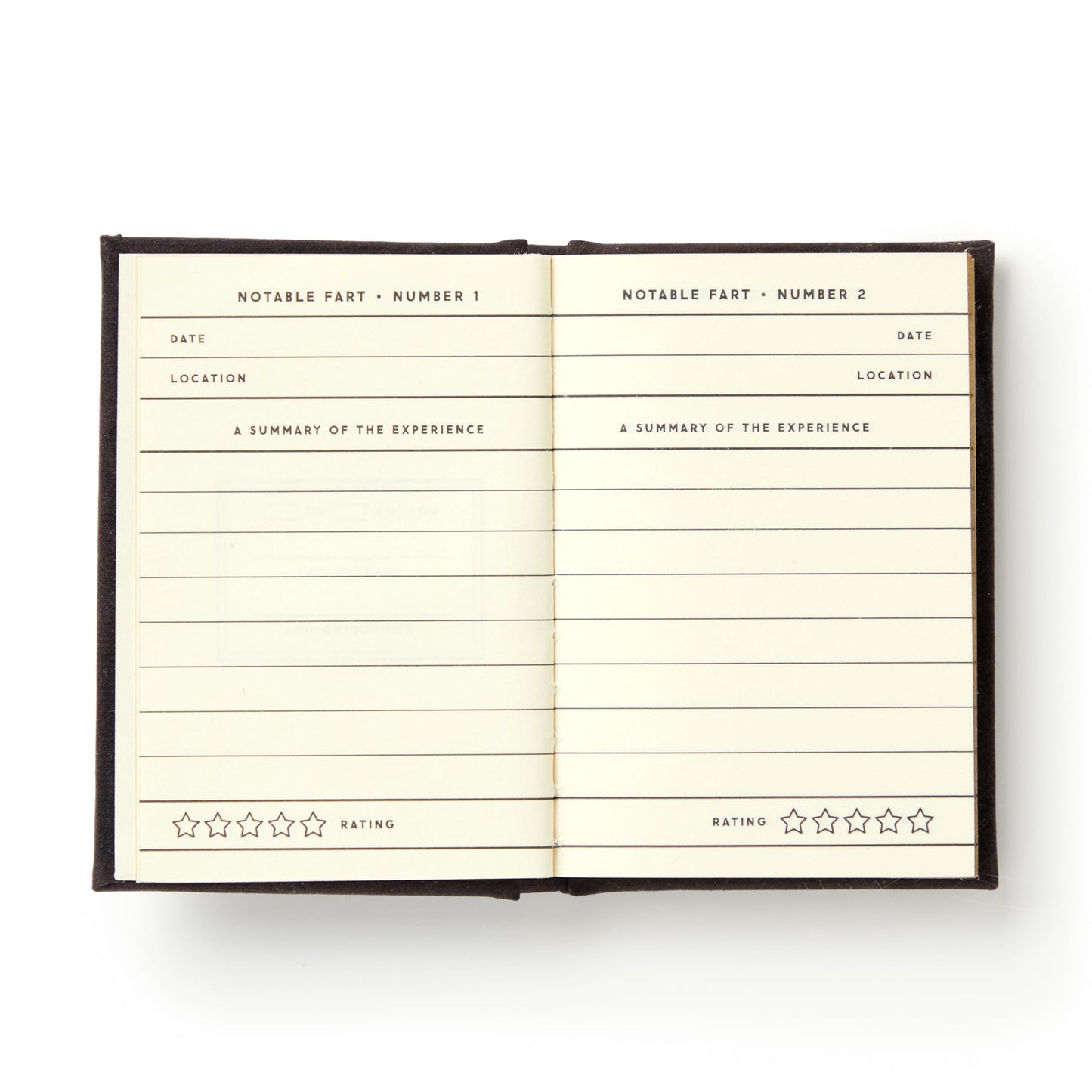 A Tiny Fart Diary (Tiny Diaries)