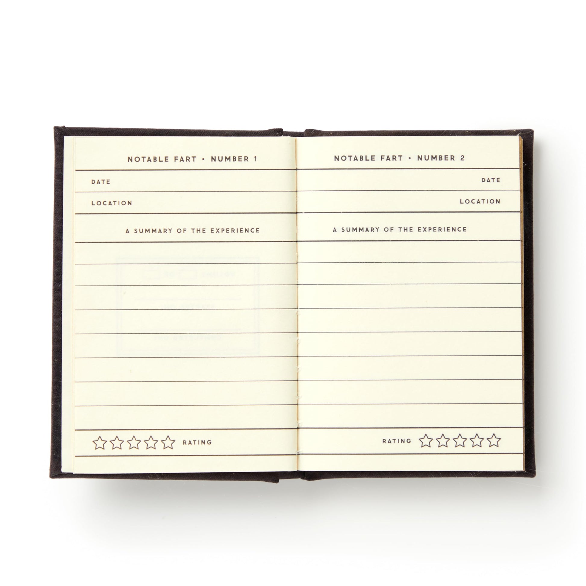 A Tiny Fart Diary (Tiny Diaries)
