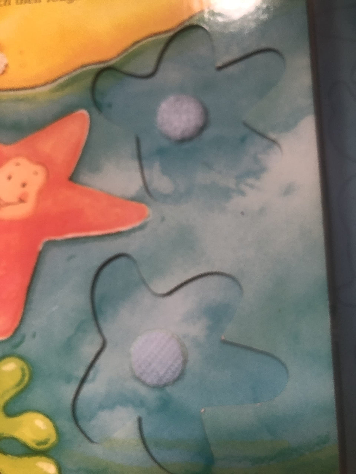 Touch & Fit: Sea Creatures