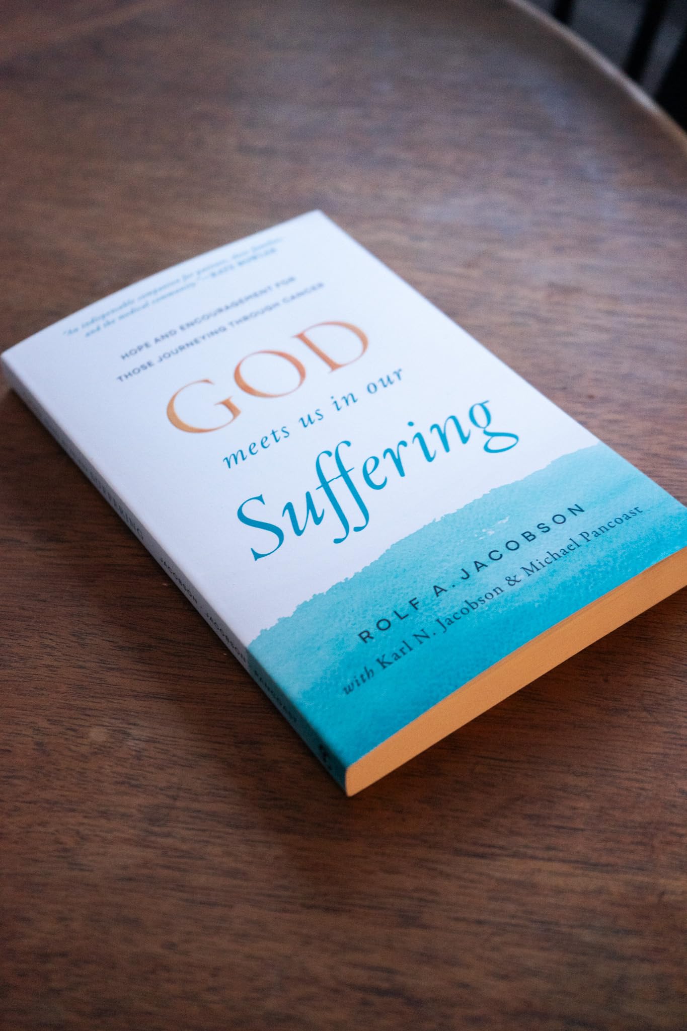 God Meets Us in Our Suffering: Hope and Encouragement for Those Journeying Through Cancer (Help for Patients, Caregivers, and Families Facing Serious Illness)