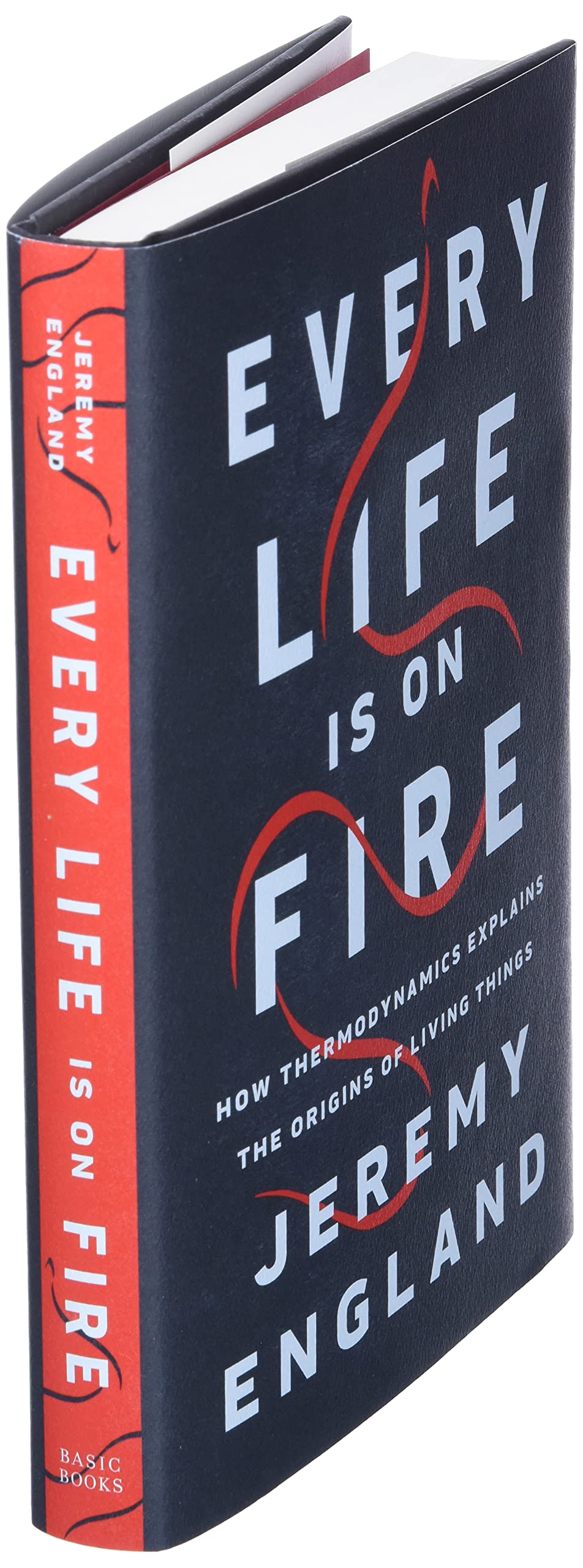 Every Life Is on Fire: How Thermodynamics Explains the Origins of Living Things
