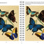 Smithsonian Spot the Difference - Natural Wonders From the Archives, 100+ Picture Puzzles for Adults - Includes Spiral Bound / Lay Flat Design (Brain Busters)