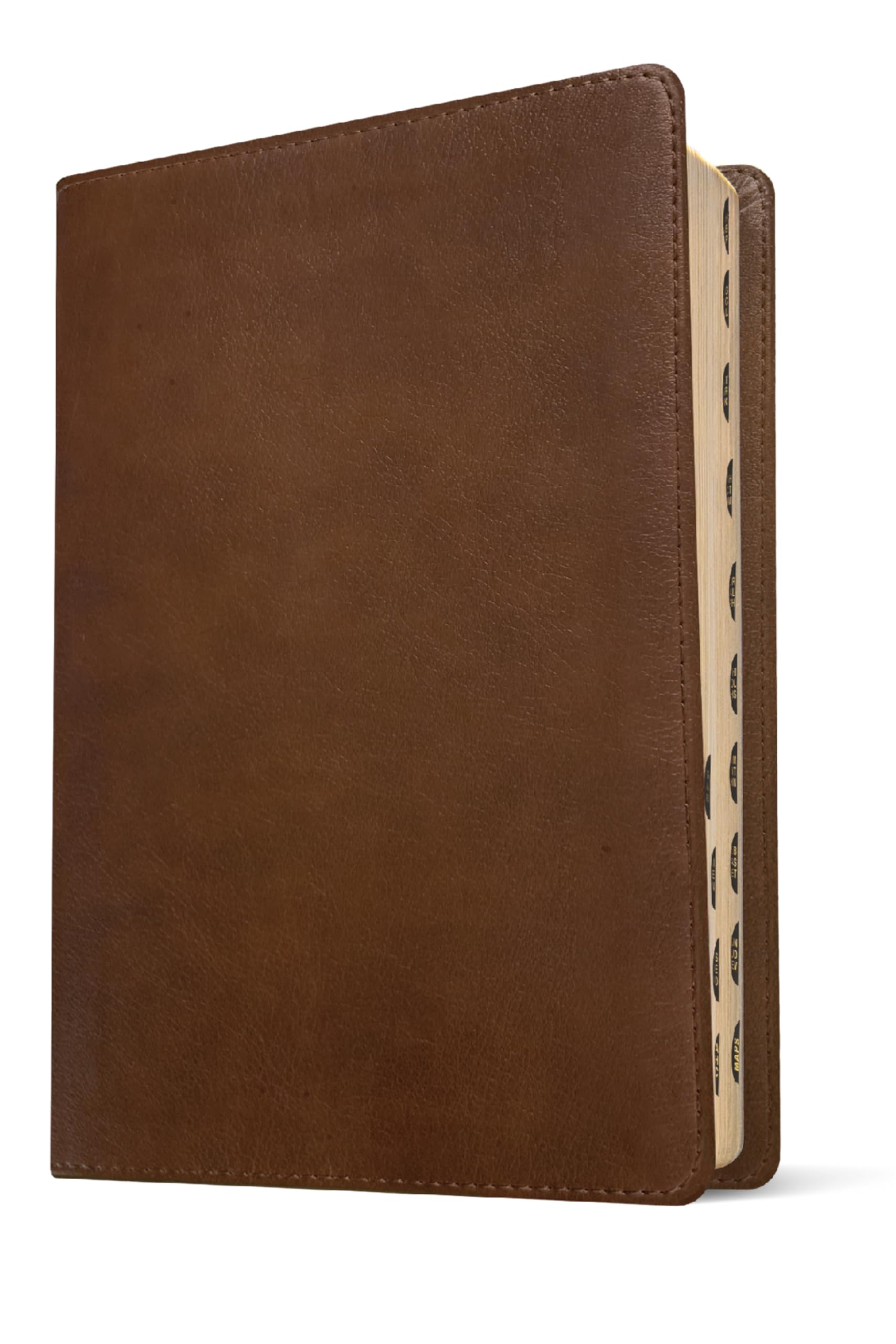 NLT Personal Size Giant Print Bible, Filament Enabled (LeatherLike, Rustic Brown, Indexed, Red Letter): Includes Free Access to the Filament Bible App ... Notes, Devotionals, Worship Music, and Video