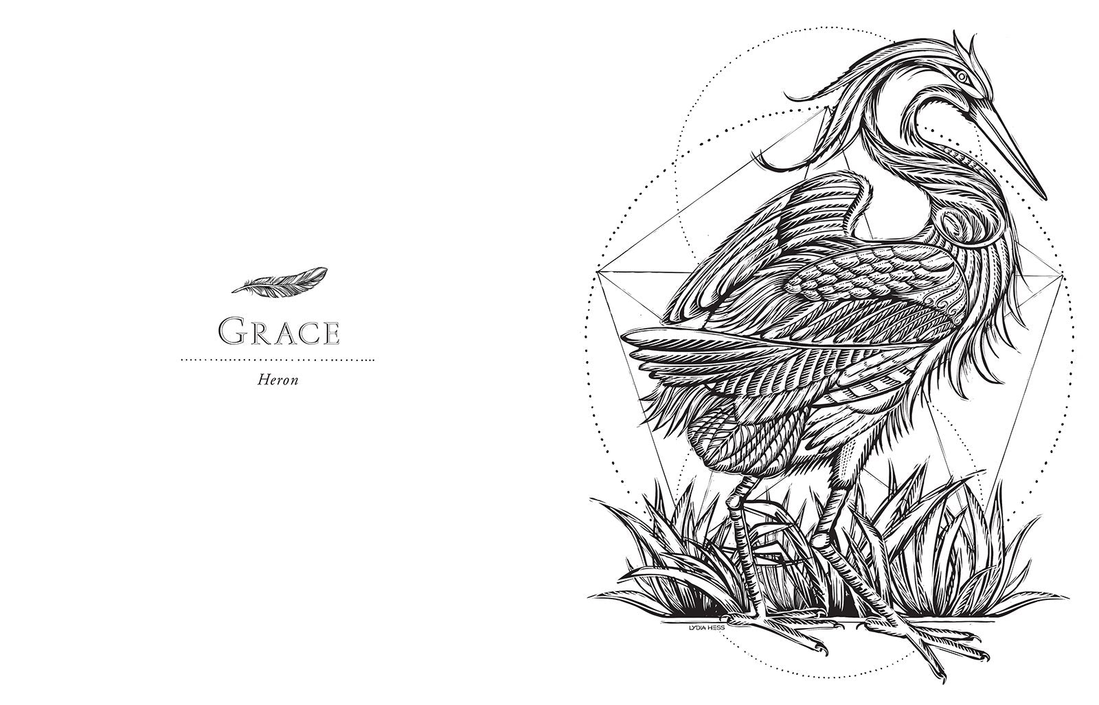 Sacred Animals (Coloring Books for the Soul)