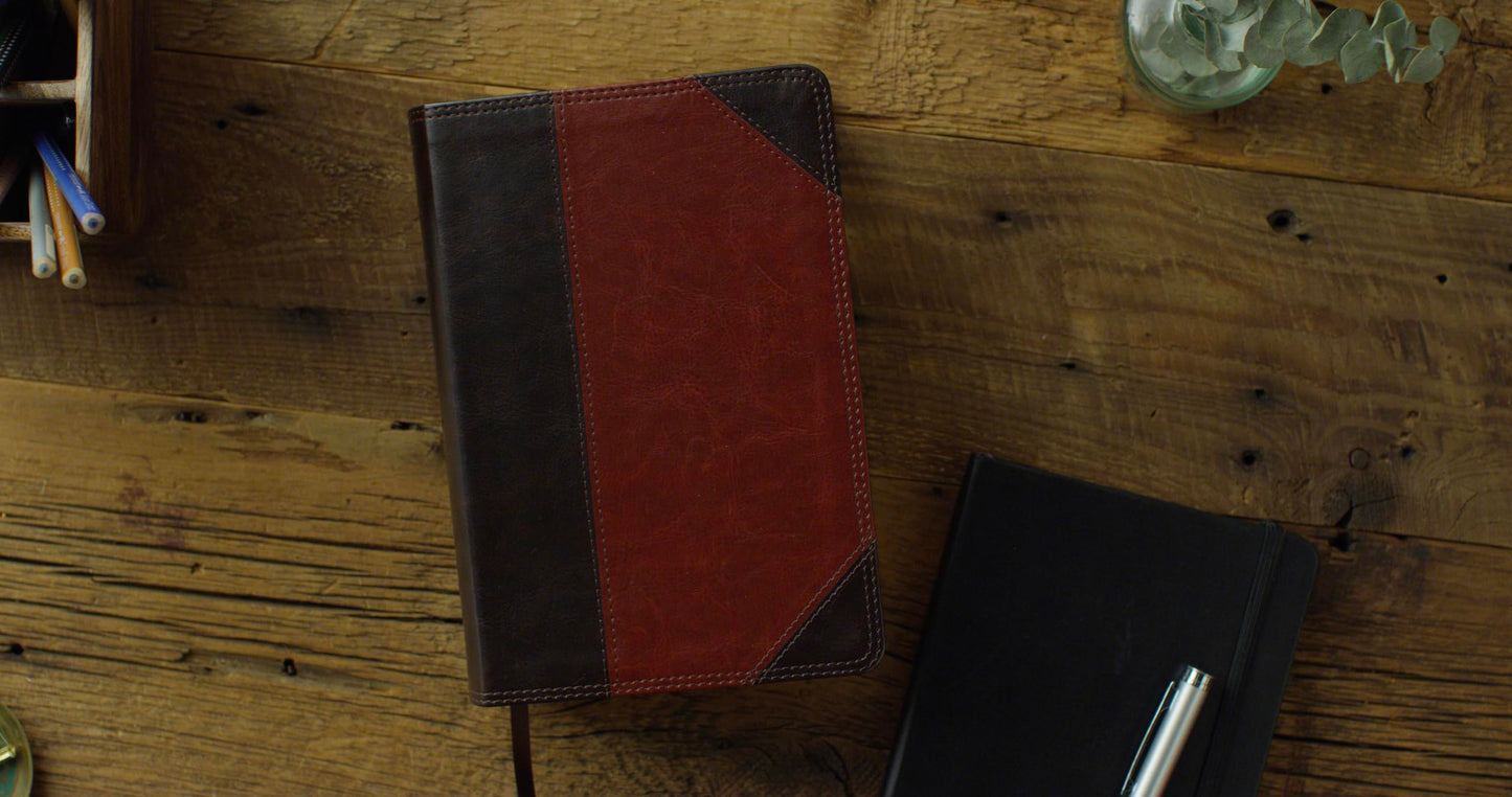 ESV Study Bible, Personal Size (TruTone, Brown/Cordovan, Portfolio Design): Holy Bible, English Standard Version